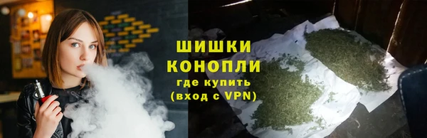 шишки Балахна