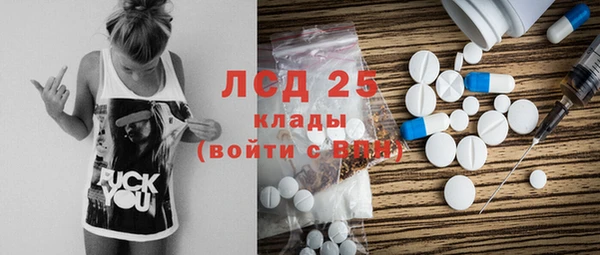 шишки Балахна