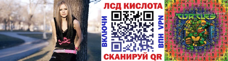 где можно купить   Унеча  Наркотические марки 1,8мг 